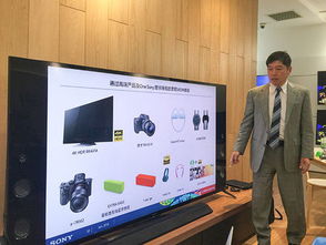 為消費(fèi)者提供更多價(jià)值 索尼中國總裁專訪聚焦軟件銷售新趨勢(shì)
