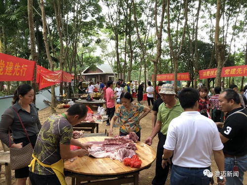 海南消費扶貧銷量榜發布 澄邁位列第三，農副產品貢獻突出