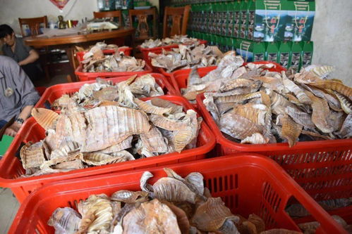 紅星村土特產火熱銷售，單次銷售突破十萬元大關